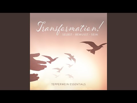 Kapitel 01 - Transformation