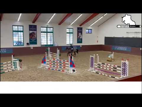 CIRA ~ 6j. St. v. / 6yo mare by Check in - Stolzenberg