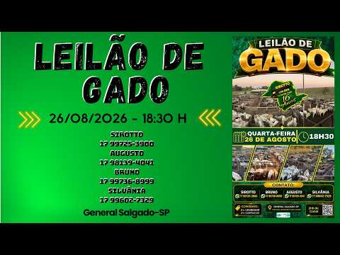LEILÃO DE GADO  -  SIROTTO LEILÕES - GENERAL SALGADO - SP  - 26/08/2026