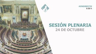Sesión Plenaria (24/10/2018)
