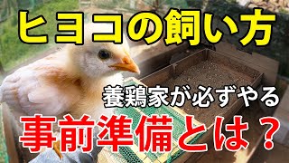 ヒヨコ飼い始めに必須な事前準備！育雛箱の作り方について【自然卵養鶏法】