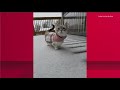 Viewer Videos Show Conditions Across The Region