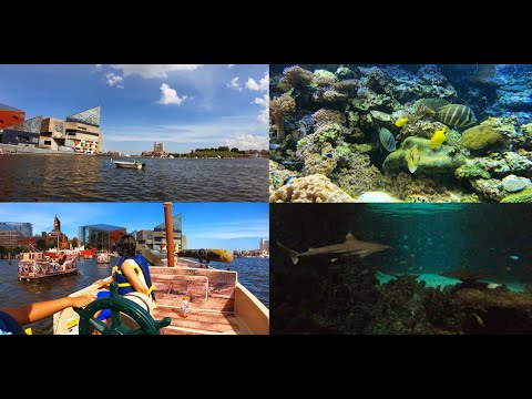 National Aquarium, Baltimore ,USA