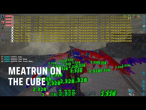 🥩 Meatrunning all the breeding of The Cube | Ark PvP Unofficial | 💧