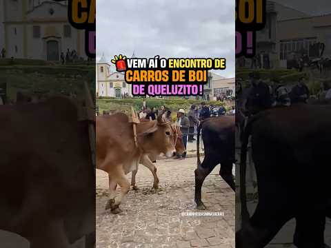 13º Encontro de Carros de Boi de Queluzito 2026 🐂 #Queluzito #CarrosDeBoi #EncontroDeCarrosDeBoi