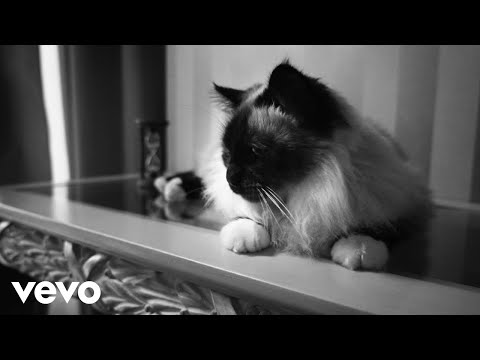 {Parte Di Me} {Parte Di Me} Best Songs