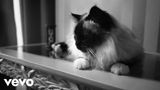 Parte Di Me Lyrics English Translation