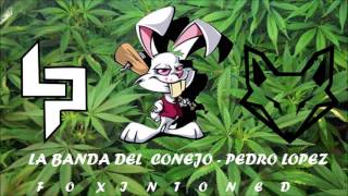 La Banda Del Conejo - Pedro Lopez  (ALETA, GUARACHA, ZAPATEO, TRIBAL HOUSE,) FOX INTONED