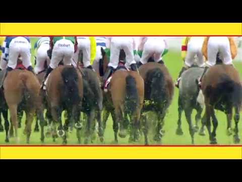 2016 Qatar Goodwood Festival - Day 2 Highlights