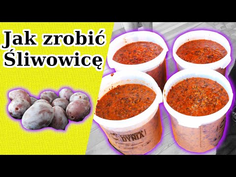 Jak zrobić nastaw na Śliwowicę