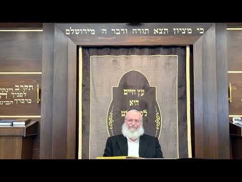 Writing & Erasing on Shabbos, Tearing the Letters on Packages | Shiur by Rav Asher Weiss Shlit"a