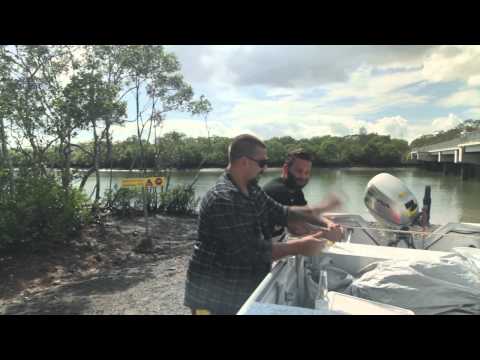 Paddy McHugh - Dan O'Halloran