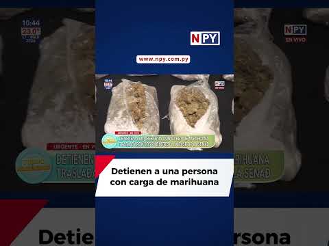 Detienen a una persona con carga de marihuana