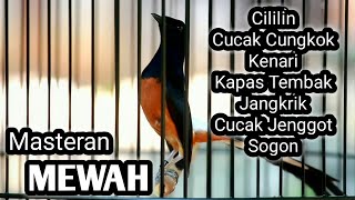 Download lagu MASTERAN MURAI BATU FULL ISIAN TEMBAKAN CILILIN KENARI KAPAS TEMBAK CUCAK JENGGOT CUNGKOK mp3
