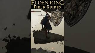 Dragoncrest Shield Talisman +2 -Not the best, but pick it up anyway- Elden Ring Field Guides #shorts