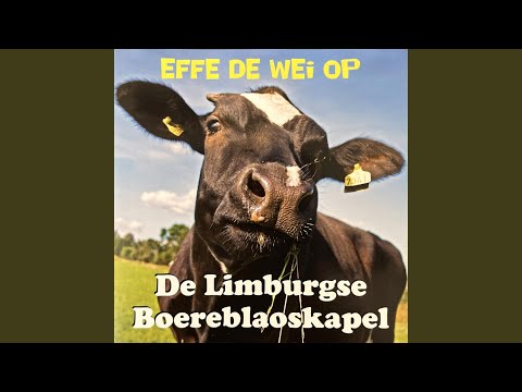 Mien hart verloare aan 't Limburgs land