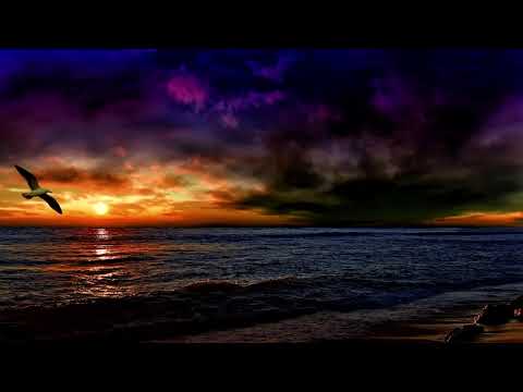 Lost Frequencies, Axel Ehnstrom - All or Nothing (Viktor Newman Edit) (Bass Boosted)