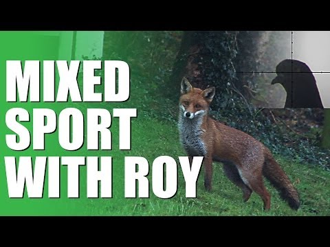 Fieldsports Britain – Mixed sport with Roy Lupton