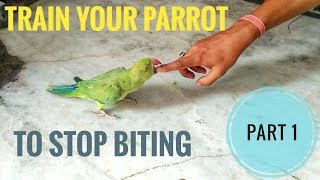 Part 1 - How to Train a Parrot to  STOP BITING || REASONS AND SYMPTOMS of Biting -EXPLAINED ||