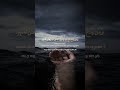 Surah Al Mu Minun 115 118 Yasser Al Dosari Islam Quran Quranrecition