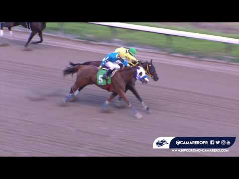 CARRERA 5-26/DICIEMBRE/2021 (MANDY,MARVELLA)