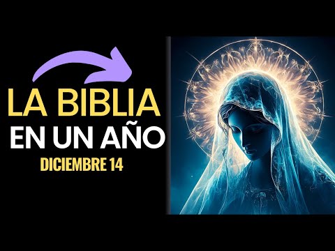 Siguiendo a Jesús a través de la Biblia Católica en un año | Día 348