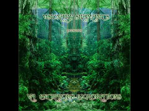 08 Shadowls - Chronicle Of Mystery