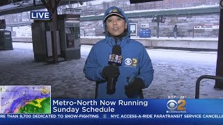 Checking In On New Rochelle