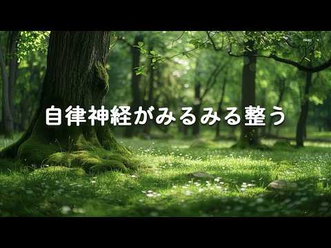 【自律神経がみるみる整う・100％広告なし】ストレス社会に効く心を整えるヒーリング音 - 聴くだけで整う神音楽、1日中リラックスできる音、朝までぐっすり眠れる音