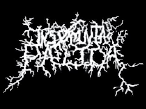 Insomnia Pálida (Portugal) — O Culto do Mal e da Violência — 2021 demo