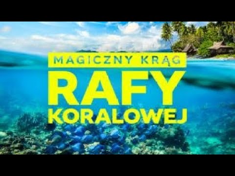 Magiczny Krąg Rafy Koralowej Odc 1