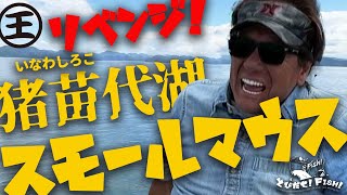 日本記録出まくり猪苗代湖のスモールマウスバス!@村田基 #釣り #バス釣り #fishing