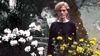 Ultravox Distant Smile (Extract)