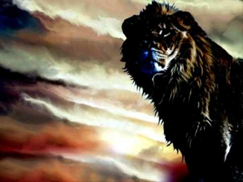 Tester - The Lion