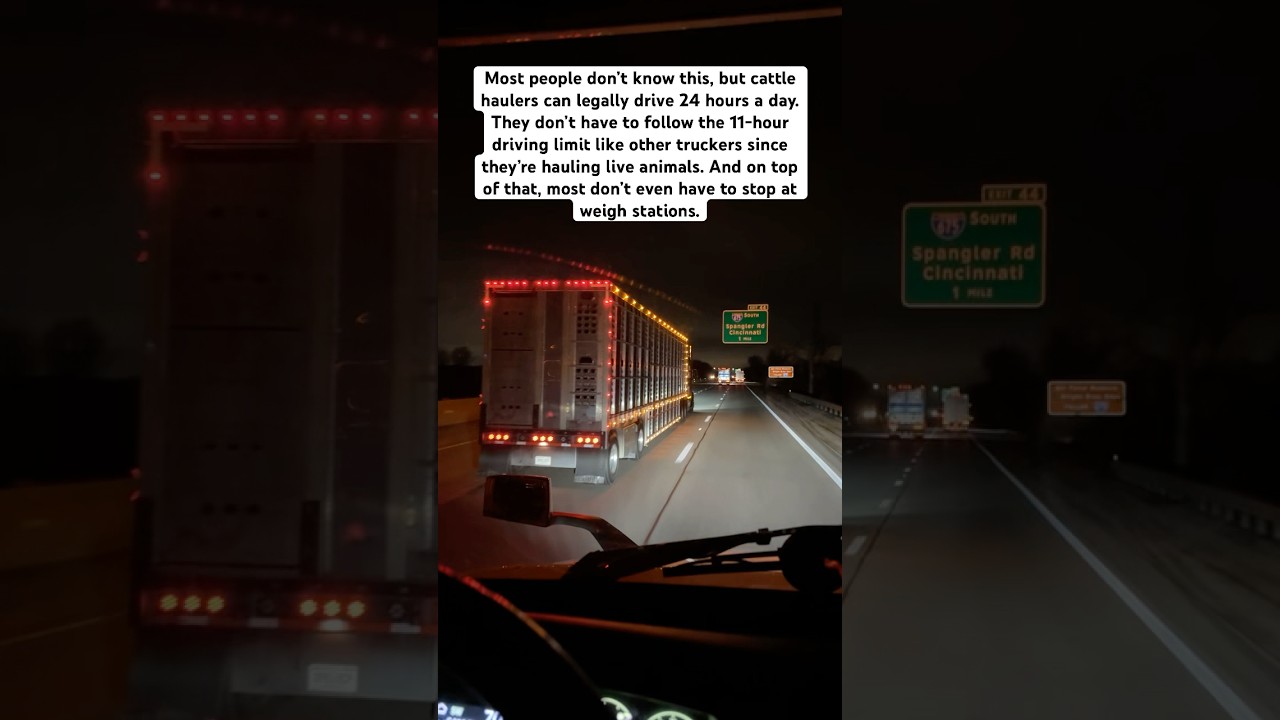 Cinematic Travel Montage