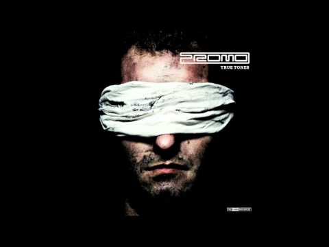 Promo - True Tones - Legends Unite (feat.Marc Acardipane and the Ultimate MC)