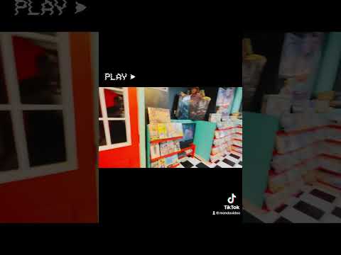 Mondo Video - ‘80s Video Store in My Basement - *Updated Video*