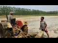 Season Prepared The Field For Planting Paddy Parbhu Farm House Chaudharyuniverse
