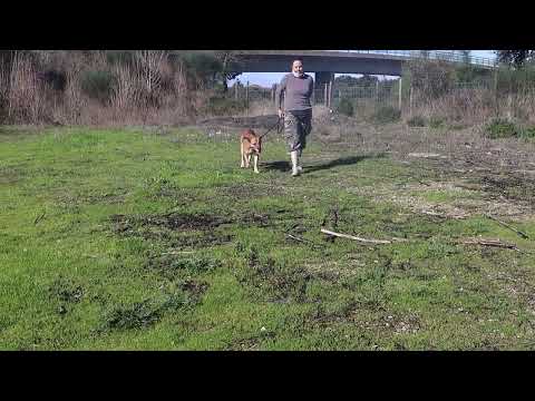Vídeo de LINA