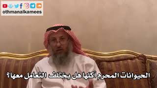 33 - الحيوانات المحرم أكلها هل يختلف التعامل معها؟ - عثمان الخميس