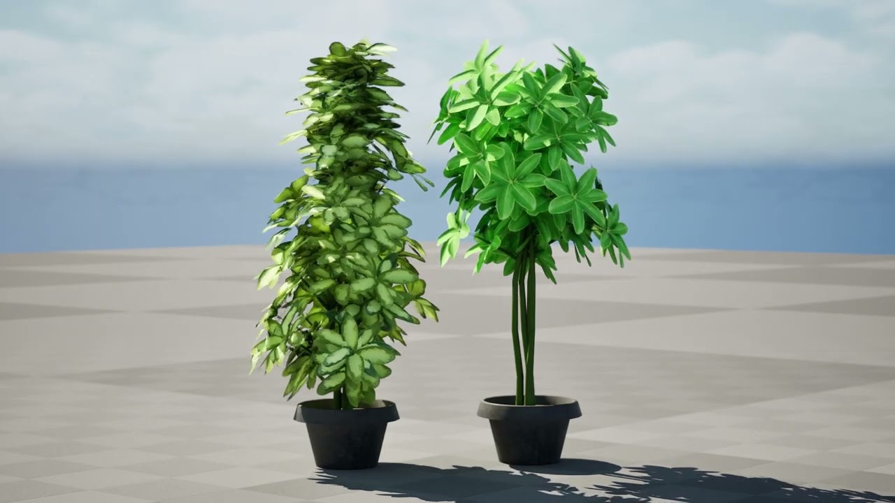 低聚鹅掌柴植物盆栽 - 3D Asset Game Ready 3D 模型