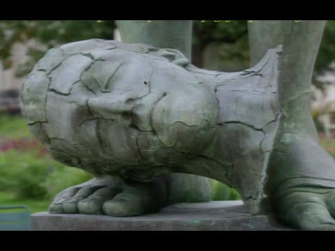 Giulio Tononi: 2011 Allen Institute for Brain Science Symposium