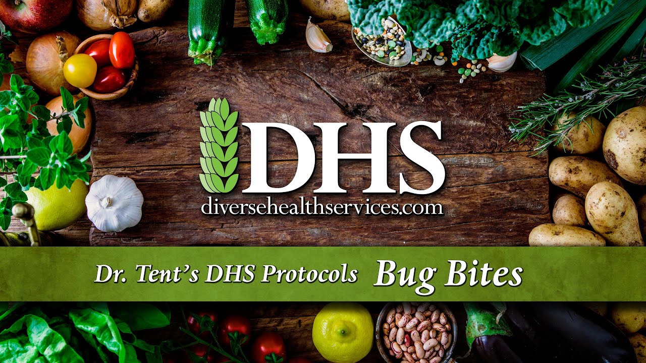 Bug Bites - Protection from Mosquitos and Bites - YouTube