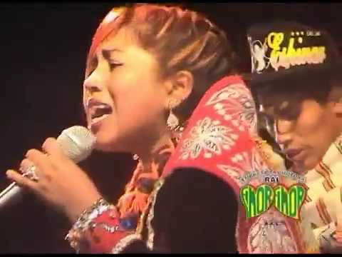 ROSITA DE ESPINAR / MIX / COSTUMBRES / NO QUIERO MAS ESTA VIDA / PRODUCCIONES AMOR AMOR