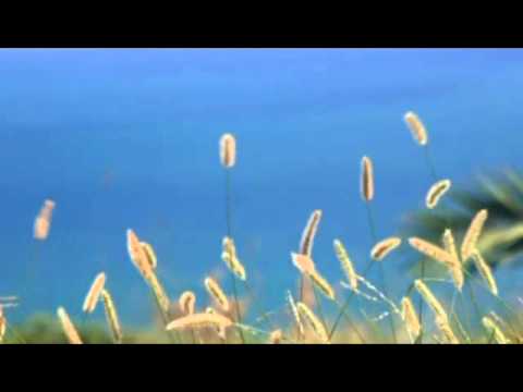 AutoTest: 20110829-1353-High Quality (640x480)