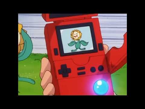 Sunflora Pokédex Entries..wmv