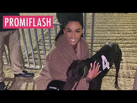 Trotz heftiger Kritik: Katie Price hat wieder neues Haustier