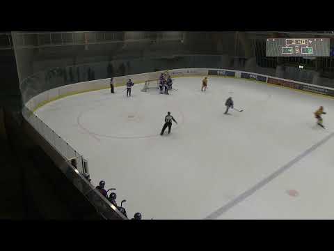 GCK Lions - EHC Biel-Bienne Spirit