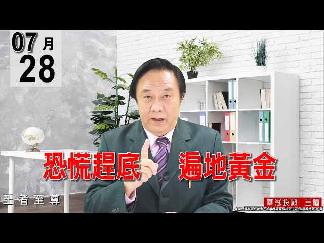 20210728《恐慌趕底   遍地黃金》今天在10點20分以前的殺盤是無量，都是散戶殺的。#王曈 #王者至尊
