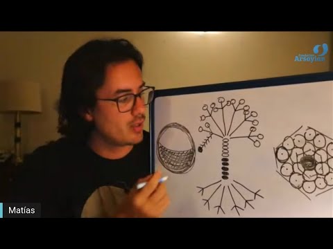 Día 341 - SEMILLA - Matias De Stefano - edición en español